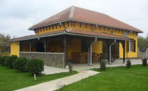 case de vacanta