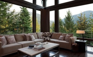 Tendinte in designul interior 2011