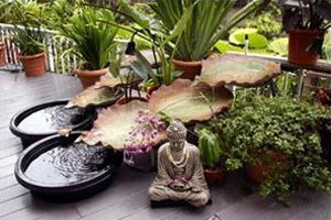 feng shui gradina